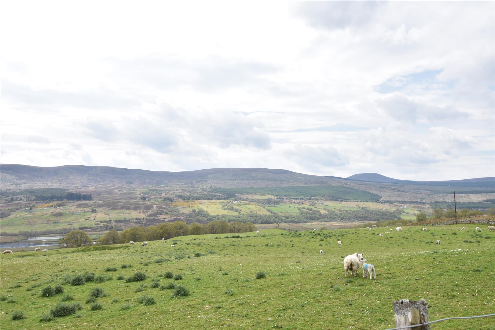 Property For Sale in Lairg IV27 4EU Munro & Noble, Estate Agents